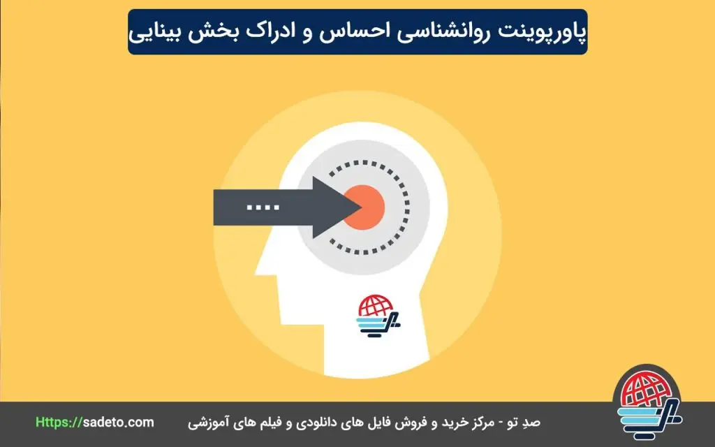 پاورپوینت روانشناسی احساس و ادراک بخش بینایی