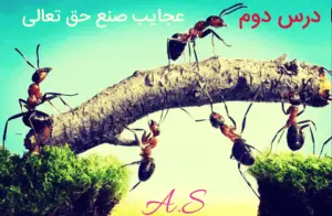 پاورپوینت درسنامه درس دوم فارسی نهم: عجایب صنع حق تعالی
